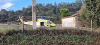 Abrantes: Dois mortos e seis feridos na colisão entre ligeiro e pesado em Vale de Cortiças (EM ATUALIZAÇÃO C/FOTOS)