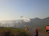 Incêndio dominado em cerca de 80% (C/ÁUDIO)