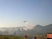 Incêndio dominado em cerca de 80% (C/ÁUDIO)