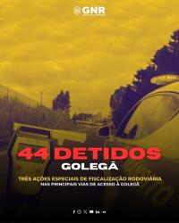 Ler notícia: Detidos 44 condutores em semana da Feira Nacional do Cavalo