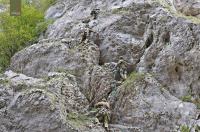 Ler notícia: Exército conduz exercício para testar capacidade de reação a sismo