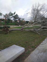 Os efeitos dos ventos na região (EM ATUALIZAÇÃO - C/ Áudio)