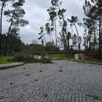 Os efeitos dos ventos na região (EM ATUALIZAÇÃO - C/ Áudio)