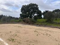 Os efeitos dos ventos na região (EM ATUALIZAÇÃO - C/ Áudio)