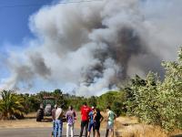 Incêndio já lavra no concelho de Mação. EN 3 está cortada. Não há aldeias em perigo (C/ Áudio)
