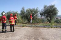 Sete dias para aprender a liderar: Curso de Liderança desafiou 28 jovens em Abrantes (c/áudio e galeria fotos)