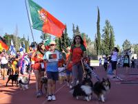 Ler notícia: Já arrancou o Campeonato do Mundo de Agility com 32 países em competição (c/áudio, vídeo e fotos)
