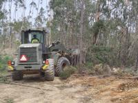 António José Seguro viu trabalhos do exército na floresta em Vila de Rei (c/áudio)