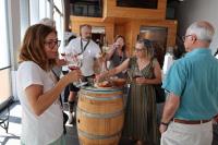 Enoturismo é aposta da Comunidade Intermunicipal no turismo sustentável (c/áudio)