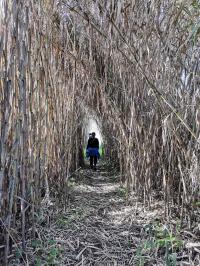 Trilho Panorâmico do Tejo é um portal para um mundo de “histórias”