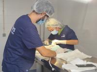 Abrantes tem proteção animal reforçada com viatura de recolha e sala de cirurgias (com áudio e fotos)