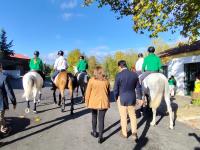 EPDRA integra rede de Proteção a Equídeos em Risco (c/áudio)