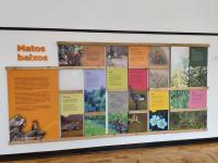 Ribeira de Alcolobre já tem Centro interpretativo e uma pequena rota homologada (c/áudio) 