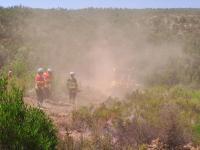 Comando do Médio Tejo organiza formação com uso de máquinas de rastos (c/áudio, vídeo e fotos)