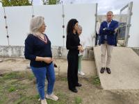 Abrantes tem proteção animal reforçada com viatura de recolha e sala de cirurgias (com áudio e fotos)