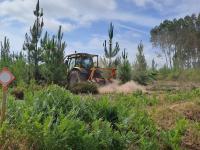 Ler notícia: Governo proibe uso de fogo e maquinaria agrícola devido ao risco de incêndio