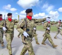 48 anos de Brigada Mecanizada com os olhos no futuro. Modernização de meios e capacitação dos militares (c/áudio e fotos)