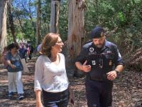 Voluntariado jovem na floresta tem 284 programas e ocupa 4 mil jovens (c/áudio e fotos)