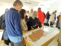 25 anos da descoberta da arte rupestre no Ocreza em exposição (c/áudio)