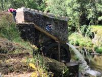 ACROM recupera azenha na ribeira da Arcês para moer trigo e milho (c/áudio e fotos)