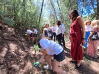 Voluntariado jovem na floresta tem 284 programas e ocupa 4 mil jovens (c/áudio e fotos)