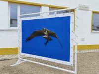 Ribeira de Alcolobre já tem Centro interpretativo e uma pequena rota homologada (c/áudio) 