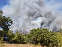 Incêndio já lavra no concelho de Mação. EN 3 está cortada. Não há aldeias em perigo (C/ Áudio)