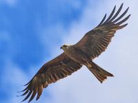 Ribeira de Alcolobre já tem Centro interpretativo e uma pequena rota homologada (c/áudio) 