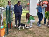 Festival das Juventudes já arrancou no Parque Urbano de S. Lourenço (C/ Áudio e Fotos)