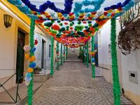 Nossa Senhora da Boa Viagem desceu às ruas de Constância (c/ galeria de fotos) 