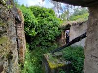 ACROM recupera azenha na ribeira da Arcês para moer trigo e milho (c/áudio e fotos)