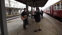 Rail Fest levou comboio turístico à linha da Beira Baixa (C/FOTOS)