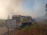 Incêndio dominado em cerca de 80% (C/ÁUDIO)