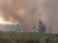 Incêndio dominado em cerca de 80% (C/ÁUDIO)