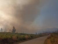 Incêndio dominado em cerca de 80% (C/ÁUDIO)