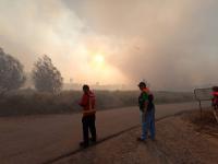 Incêndio dominado em cerca de 80% (C/ÁUDIO)