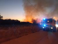 Mais de meia centena de operacionais em incêndio em Alvega