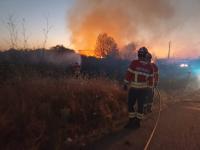 Mais de meia centena de operacionais em incêndio em Alvega