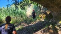 PSP alarga perímetro nas buscas por idoso desaparecido