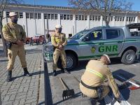 Escuteiros de Portalegre e Castelo Branco assinalaram semana do Ambiente e Proteção Civil (C/ÁUDIO E FOTOS)