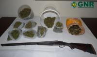 Ler notícia: GNR detém dois suspeitos de tráfico de droga e posse ilegal de arma