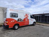 Abrantes tem proteção animal reforçada com viatura de recolha e sala de cirurgias (com áudio e fotos)