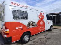 Abrantes tem proteção animal reforçada com viatura de recolha e sala de cirurgias (com áudio e fotos)