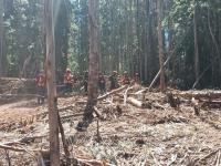 Bombeiros do Médio Tejo combatem Incêndios no Chile. Nuno Morgado explica o que é que têm feito.