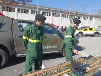 Escuteiros de Portalegre e Castelo Branco assinalaram semana do Ambiente e Proteção Civil (C/ÁUDIO E FOTOS)