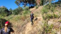 PSP alarga perímetro nas buscas por idoso desaparecido