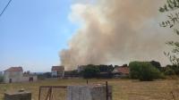 Ler notícia: Incêndio mobiliza uma centena de operacionais (em atualização)