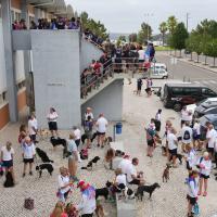 Campeonato do mundo de Agility arranca esta quinta-feira 