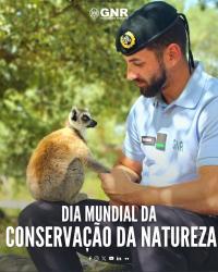 Ler notícia: Serviço de Proteção da Natureza da GNR registou 606 crimes nos primeiros 6 meses