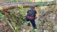 PSP alarga perímetro nas buscas por idoso desaparecido